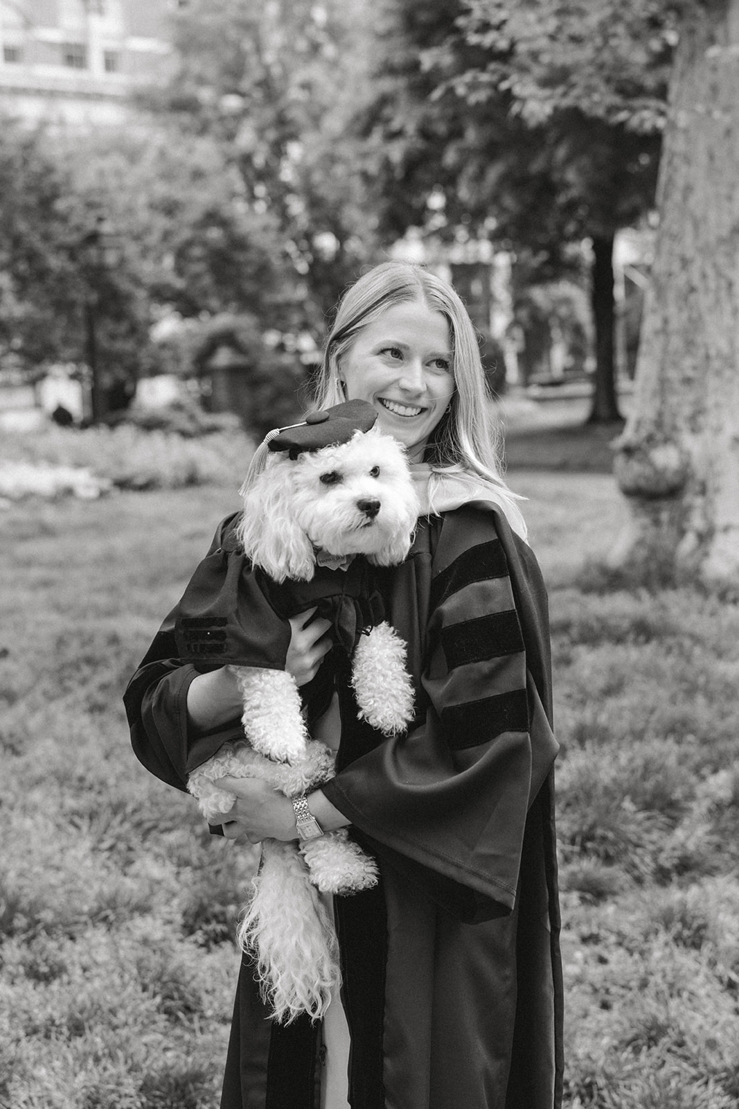 dog with graduation cap